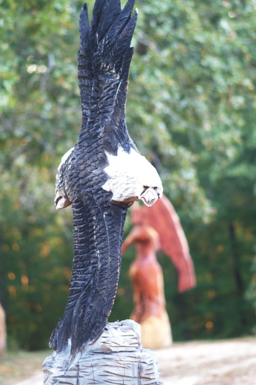 Painted bald eagle carving in a steep dive, wings swept straight up